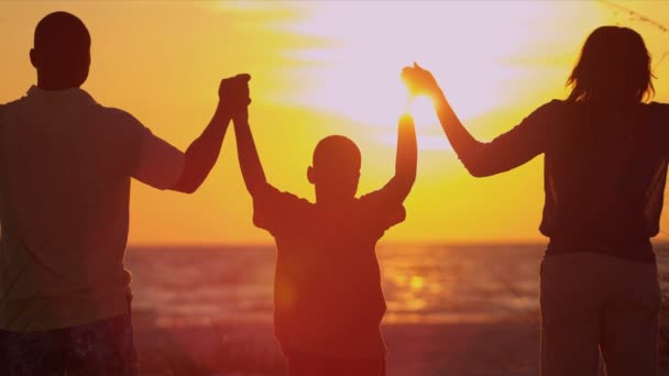 Família de mãos dadas observando o pôr do sol — Vídeo de Stock