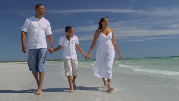 Молодая семья прогуливается по пляжу — стоковое видео