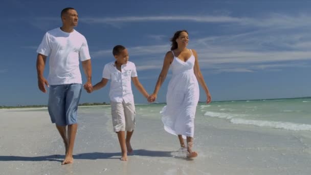 Jong gezin wandelen op het strand — Stockvideo