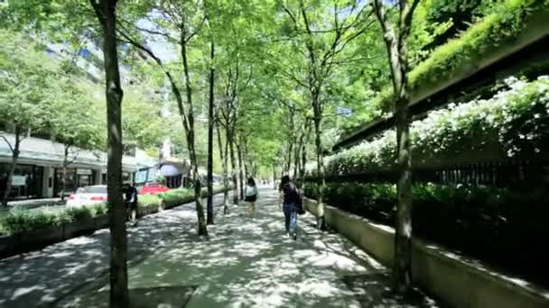 Vy av staden trottoaren staden stadsbilden downtown — Stockvideo