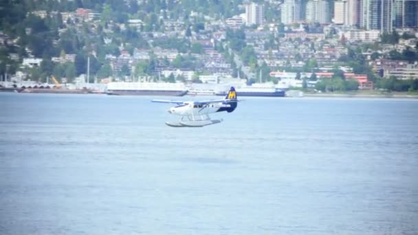 Seaplane Burrard Inlet Water Airport, Vancouver — Stock Video