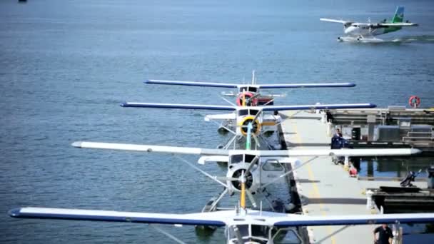 ท่าอากาศยานน้ํา Seaplanes เรือสําราญ, แวนคูเวอร์ — วีดีโอสต็อก