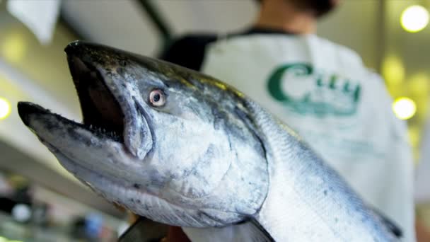 Salmón marino Pikes Fish Market Seattle, Estados Unidos — Vídeo de stock