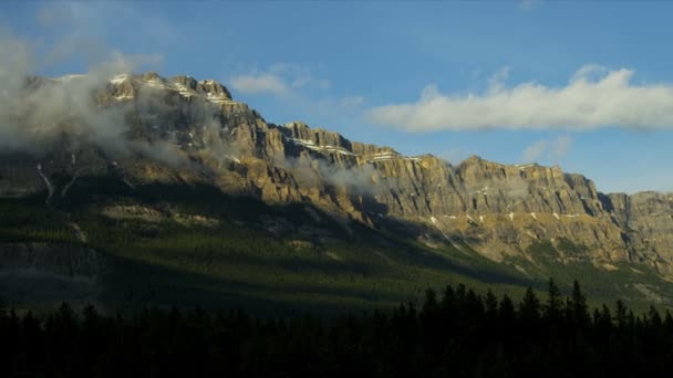 Berg pieken naaldhout bos, canada, time-lapse — Stockvideo