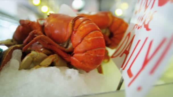 Mercado de Peixes Pikes de lagosta fresca Seattle, EUA — Vídeo de Stock