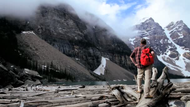 Male hiker viewing landscape — Stock Video