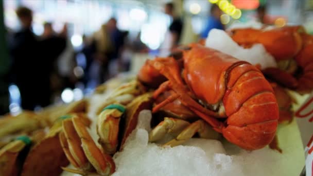 Ryby świeże homary piki rynku seattle, Stany Zjednoczone Ameryki — Wideo stockowe