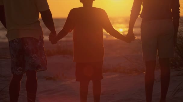 Family on beach watching sunset — Stock Video