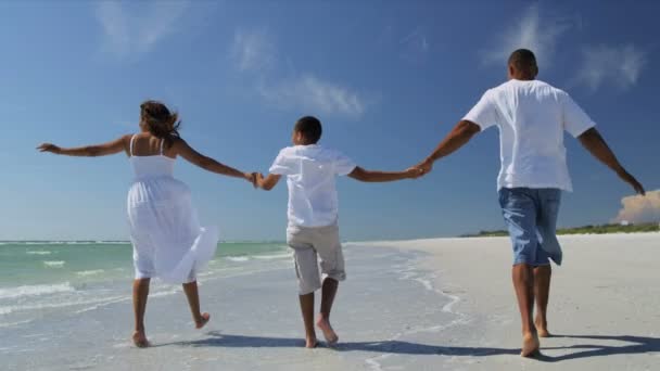 Eltern und Sohn am Strand — Stockvideo