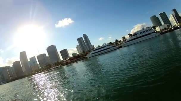 Miami city waterfront — Stockvideo