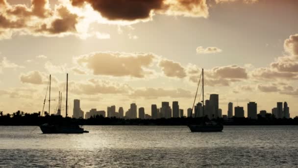 Yachts moored against Miami skyscrapers — Stock Video