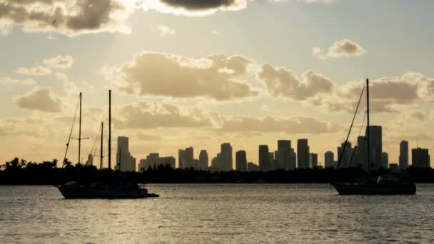 Σκάφη αγκυροβολημένο κατά Μαϊάμι ουρανοξύστες — Αρχείο Βίντεο