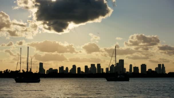 Yachts silhouetted against Miami Skyline — Stock Video