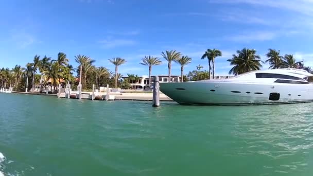 Motor yachts moored in Miami — Stock Video