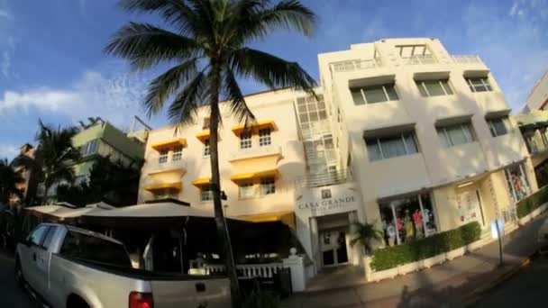 Cruising på ocean drive — Stockvideo