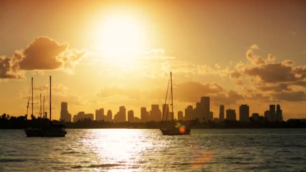 Yachts dans les silhouettes du coucher du soleil — Video