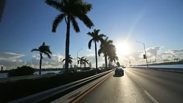 Driving on Miami city causeway — Stock Video