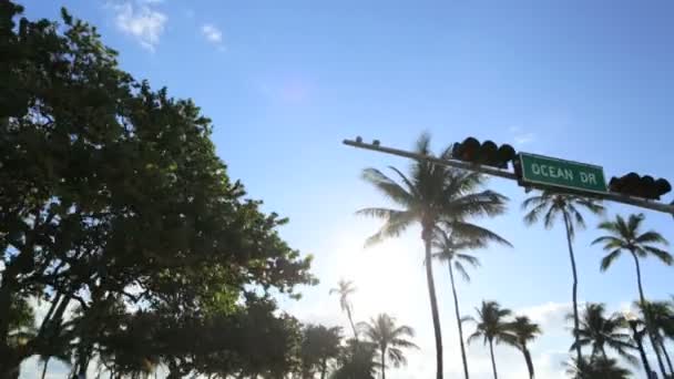 Autofahren im tropischen Sonnenlicht — Stockvideo