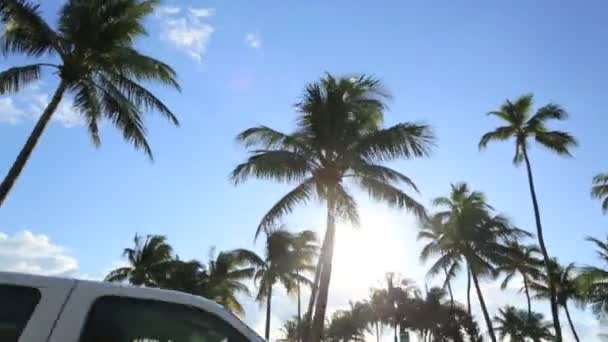 Οδήγηση στο τροπικό ηλιακό φως — Αρχείο Βίντεο