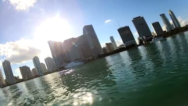 Miami city waterfront — Stock Video