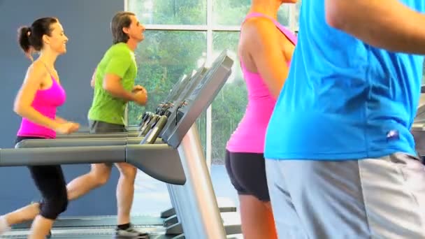 Multi ethnic gym members exercising — Stock Video