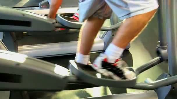 Gym members on exercise equipment — Stock Video