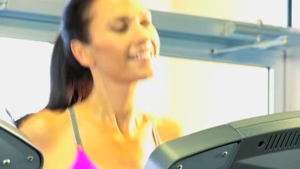 Female keeping fit on exercise equipment — Stock Video