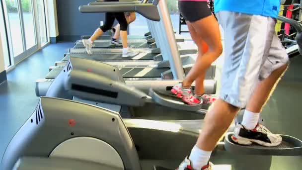 Spor salonu üyeleri üzerinde egzersiz donanımları — Stok video