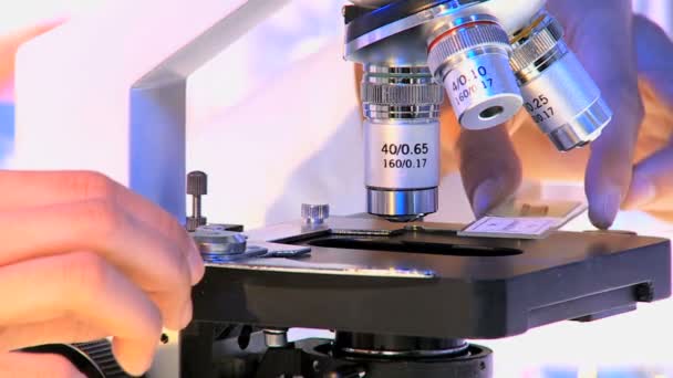 Manos colocando diapositivas de muestras en el microscopio — Vídeo de stock