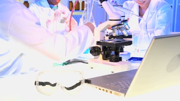 Medical Technicians using Laboratory Equipment — Stock Video