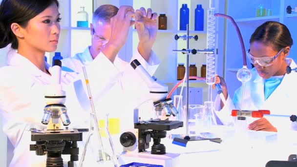 Medical Technicians using Laboratory Equipment — Stock Video