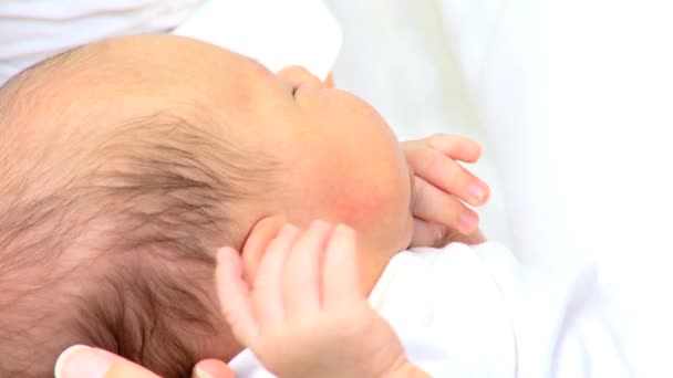 Newborn baby boy in the hands of mother — Stock Video