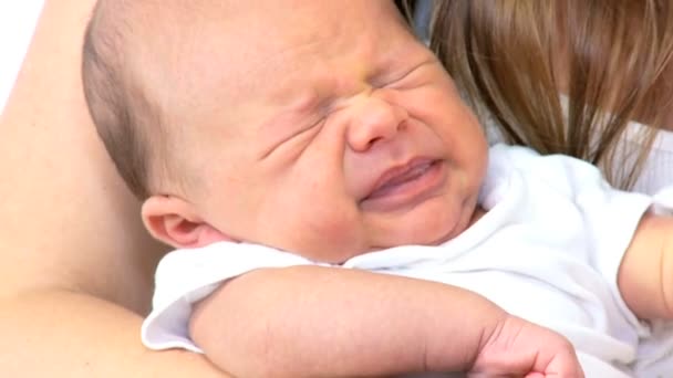 Menino recém-nascido nas mãos da mãe — Vídeo de Stock