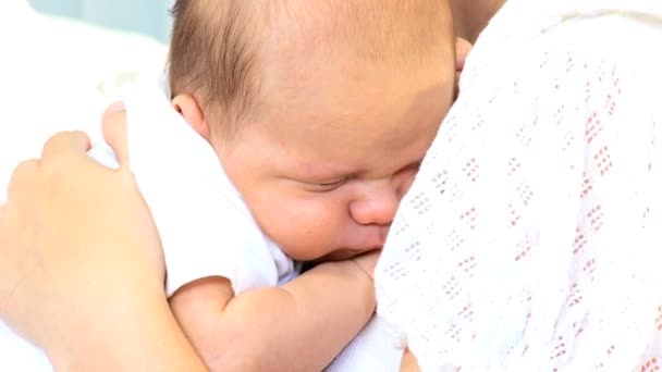 母の手の中に生まれたばかりの赤ちゃんの男の子 — ストック動画