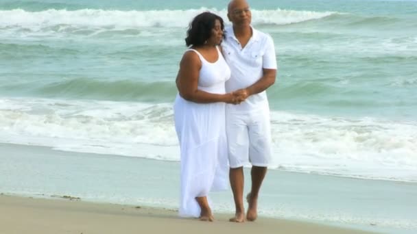 Amar a una pareja mayor en la playa juntos — Vídeo de stock