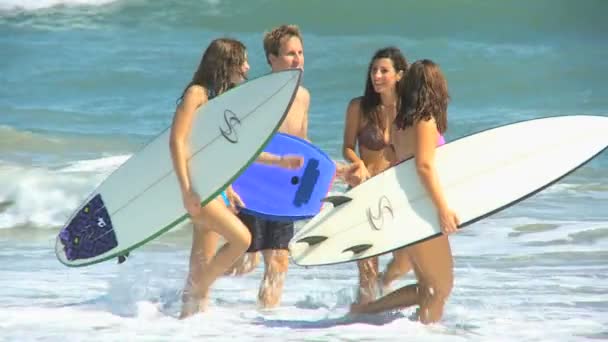 Parents and daughters walking on ocean shallows — Stock Video