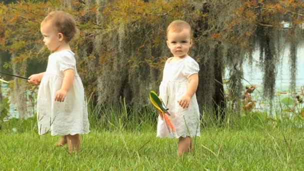 Девочки-близнецы играют в парке — стоковое видео