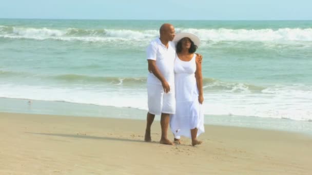 Koppel wandelen op het strand — Stockvideo