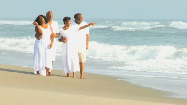 African American Senior Couples Retirement Lifestyle — Stock Video