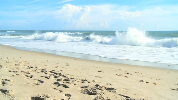 Coppia attraente godendo del tempo passeggiando sulla spiaggia — Video Stock