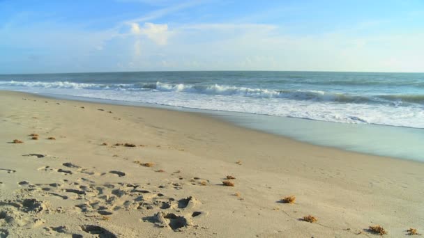 Familia vistiendo blanco disfrutando de tiempo caminando playa — Vídeo de stock