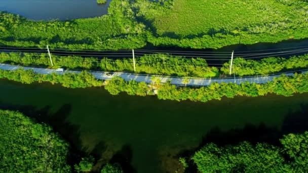 Blick von oben auf die Natur in Florida — Stockvideo