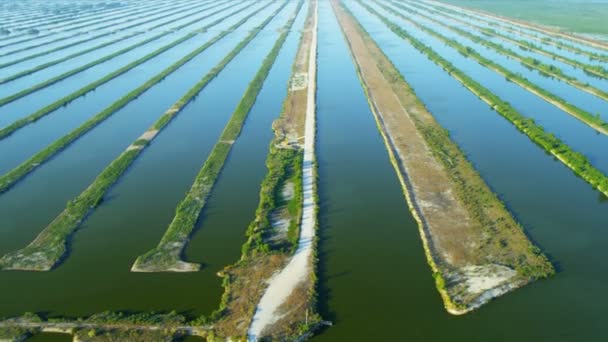 Vista aérea de canales en Florida — Vídeos de Stock