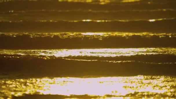 Golden Sunset üzerinde okyanus dalgaları — Stok video