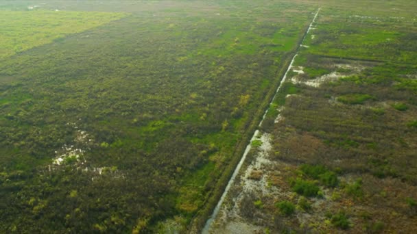 Вид с воздуха Florida Everglades marshland, USA — стоковое видео