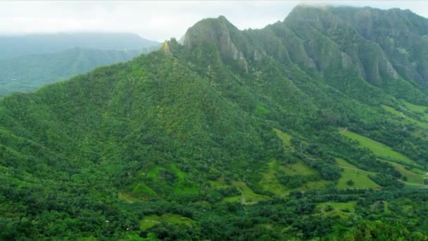 Aerial landscape view ridges of volcanic lava, Hawaii — Stock Video