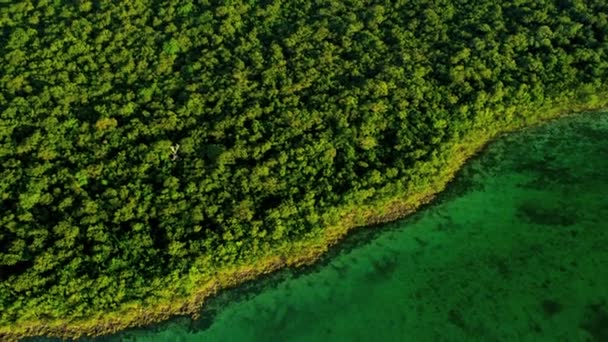 Vista superior de la naturaleza en Florida — Vídeo de stock