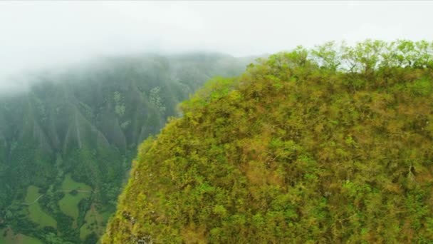 Vista aérea del paisaje crestas de lava volcánica, Hawai — Vídeos de Stock