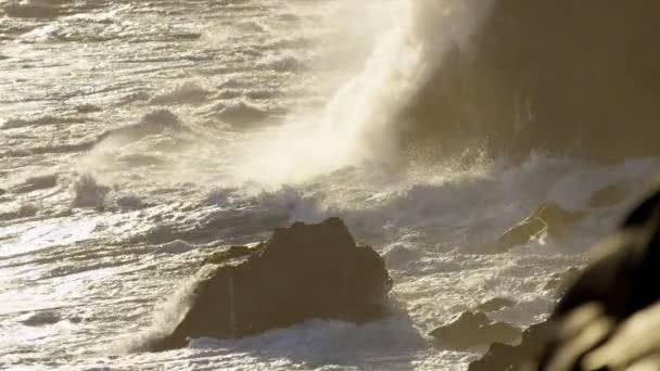 Billowing Steam Lava Falling Ocean Waves — Stock Video