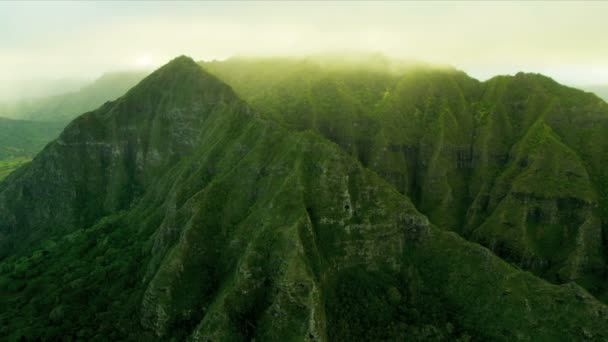 Aerial view Kahana valley — Stock Video